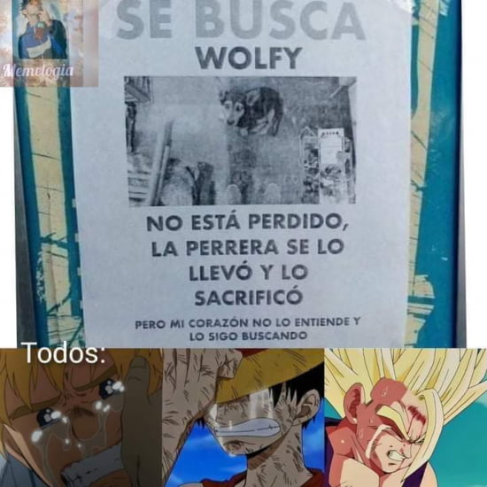 Acompáñenme A Ver Esta Triste Historia – A La Meme